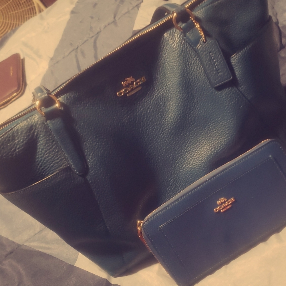 Coach Ava Tote in Pebble Leather